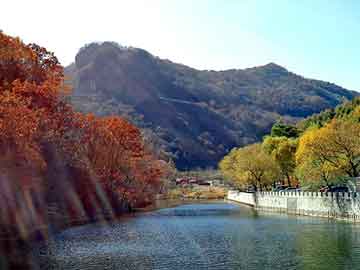 新澳天天开奖资料大全旅游团，董杰